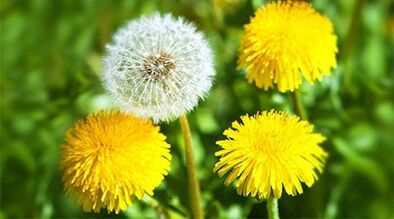 metodi per rimuovere papillomi usando rimedi popolari